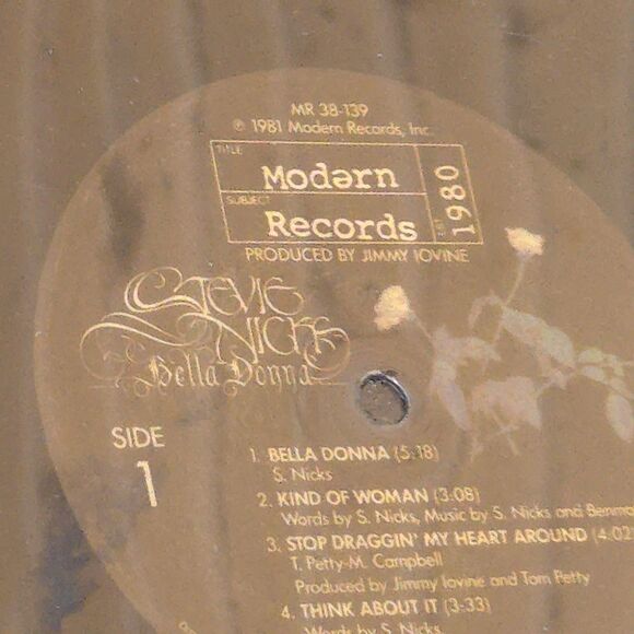 VTG Vinyl Record Purse Bella Donna Stevie Nicks Handbag Purse Parrot - Picture 11 of 14